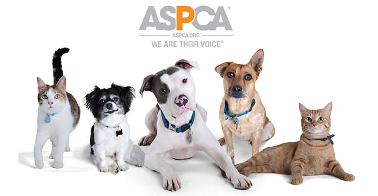 sell your luxury watch locally in my area